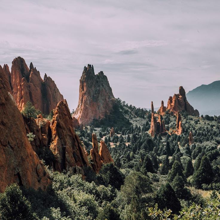 Protected areas overview